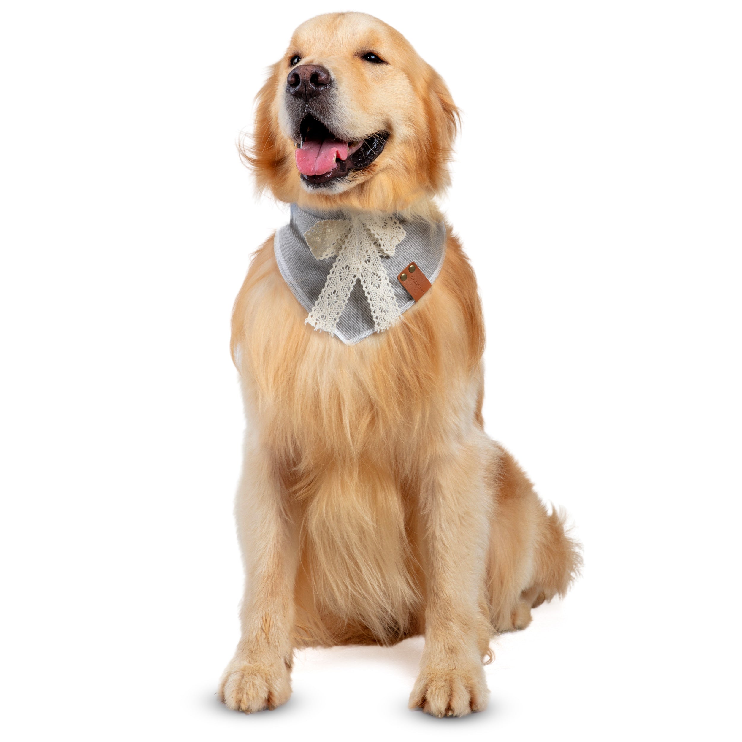 Celi's Boutique Dog Bandana