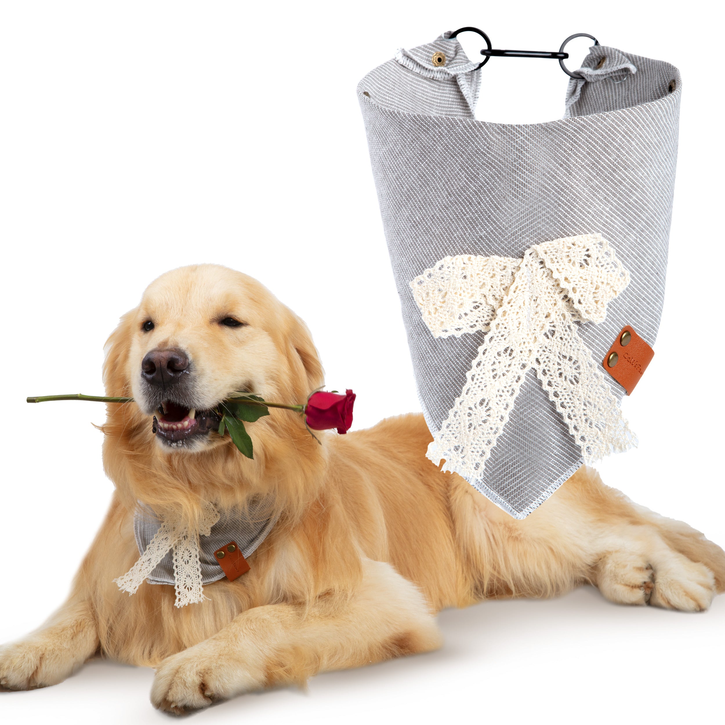 Celi's Boutique Dog Bandana